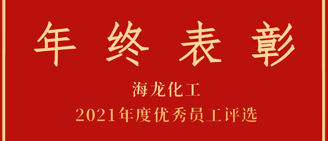 <strong>表彰！海龍化工2021年度優(yōu)秀員工優(yōu)秀部門評選</strong>